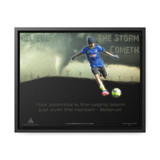 Inspirational Canvas Prints - Potential