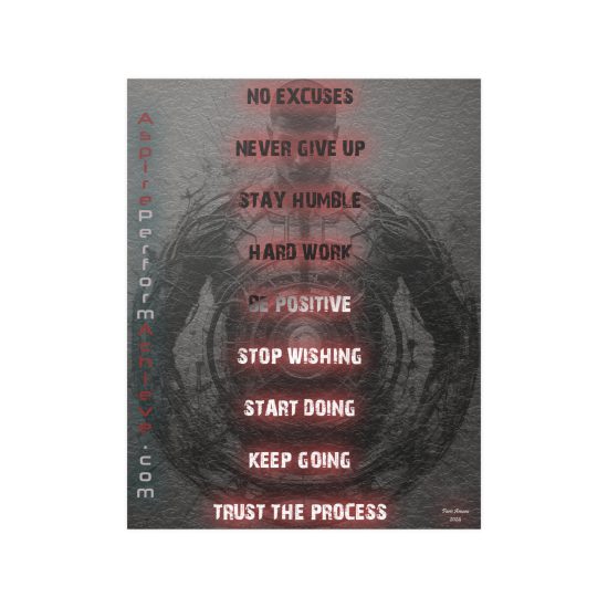 No Excuses Satin Posters (210gsm)